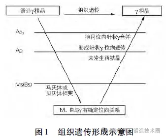 1715066242760559.jpg 微信圖片_20240507151223.jpg