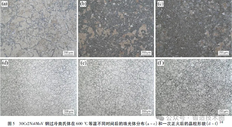 1715066469186370.jpg 微信圖片_20240507151308.jpg